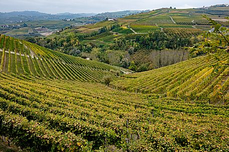 Landscape langhe 