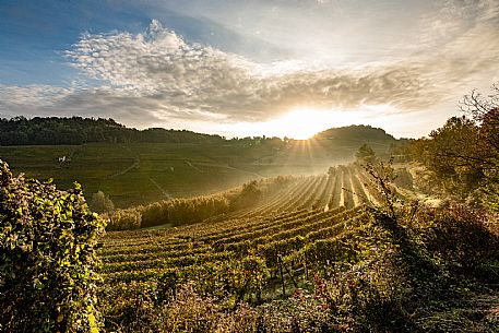 Langhe Landscape