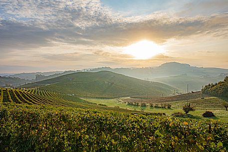 Langhe Landscape 