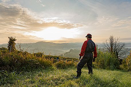 Langhe Landscape with person