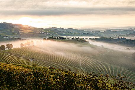 Langhe Landscape 