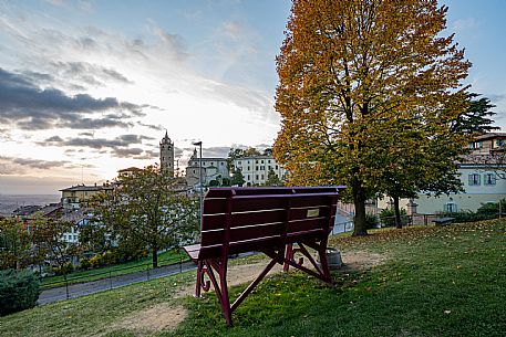 Langhe Big Bench 