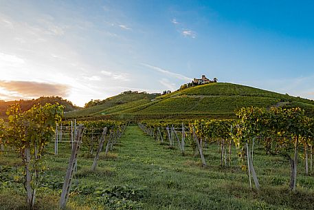 Langhe Landscape 