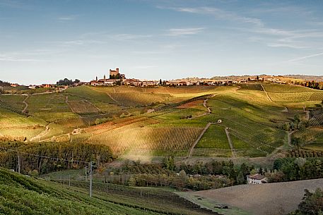 Langhe Landscape 