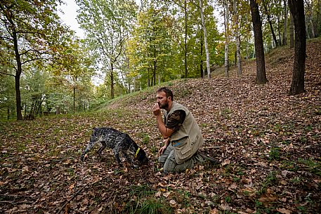 Alba WhiteTruflle Hunting