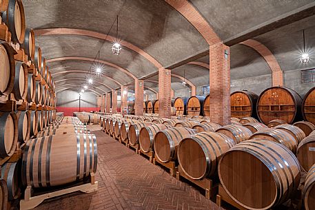 Wine Cellar - barrels and barriques