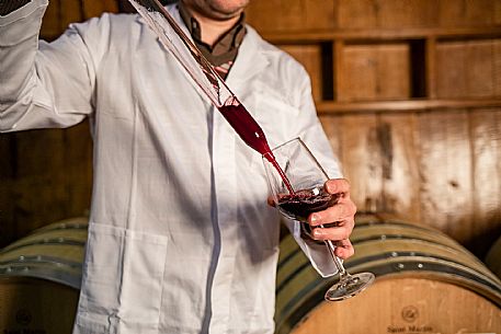 Oenologist in Wine Cellar