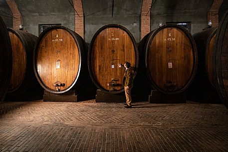 Wine Cellar