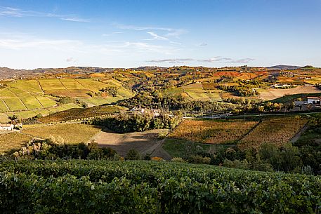 Langa of Barbaresco Landscape