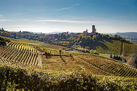 Barbaresco Landscape