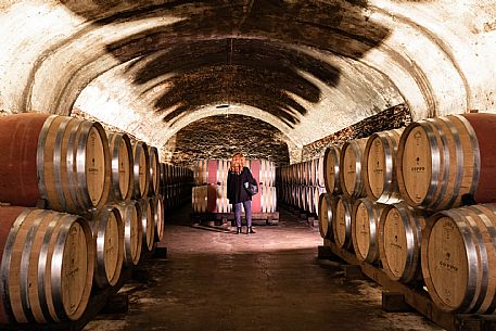 Wine Cellar