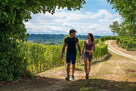 trekking in Langhe Monferrato Roero