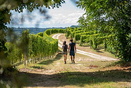 trekking in Langhe Monferrato Roero