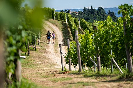 trekking in Langhe Monferrato Roero