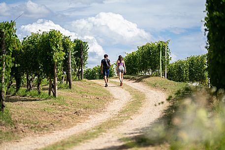 trekking in Langhe Monferrato Roero