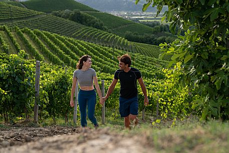 trekking in Langhe Monferrato Roero