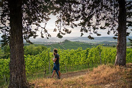 trekking in Langhe Monferrato Roero