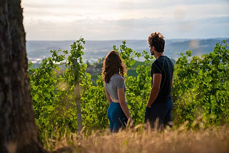 trekking in Langhe Monferrato Roero