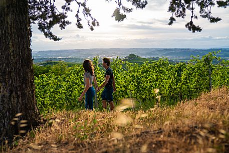 trekking in Langhe Monferrato Roero