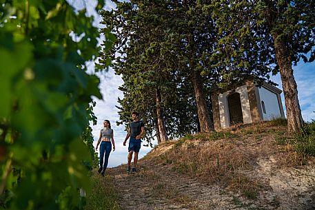 trekking in Langhe Monferrato Roero