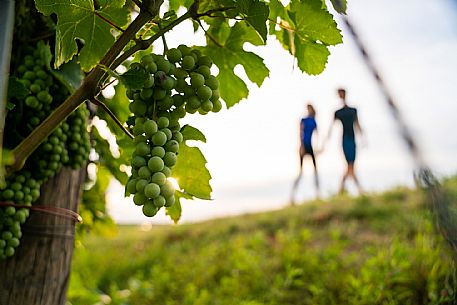 trekking in Langhe Monferrato Roero