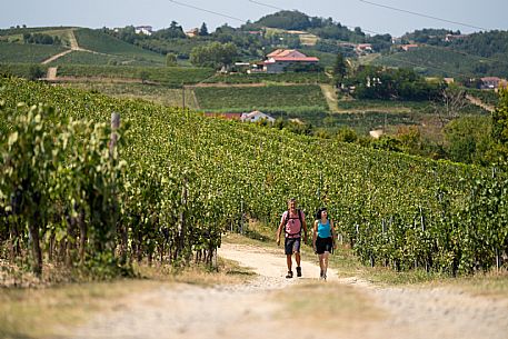 Trekking in the vineyards in Langhe Monferrato Roero