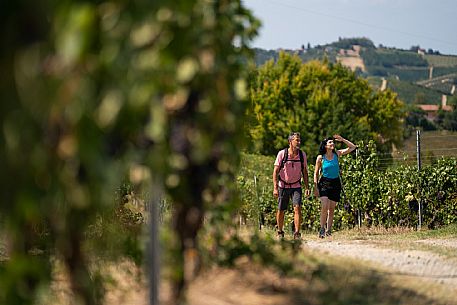 Trekking in the vineyards in Langhe Monferrato Roero