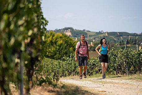 Trekking in the vineyards in Langhe Monferrato Roero