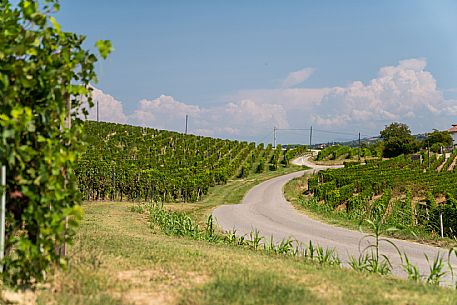 Trekking in Langhe Monferrato Roero