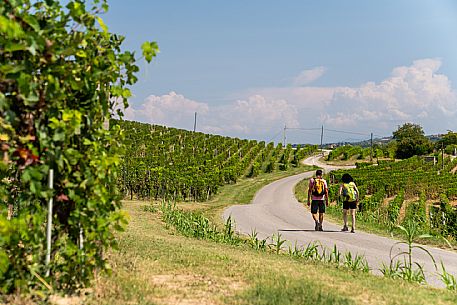 Trekking in Langhe Monferrato Roero