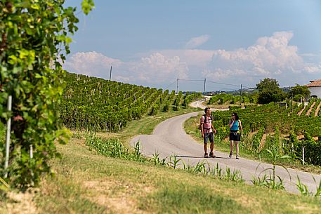 Trekking in Langhe Monferrato Roero