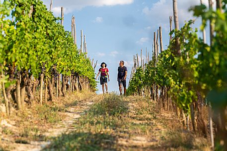 Trekking in Langhe Monferrato Roero