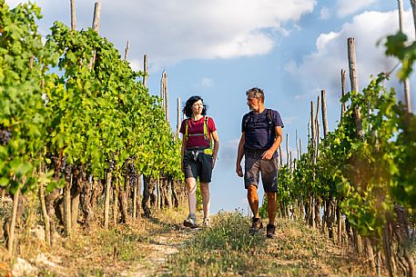 Trekking in Langhe Monferrato Roero