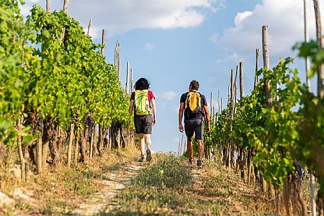 Trekking in Langhe Monferrato Roero