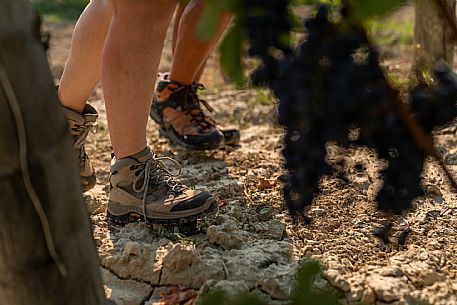 Trekking in Langhe Monferrato Roero