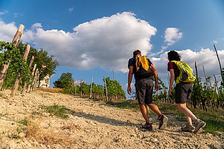 Trekking in Langhe Monferrato Roero