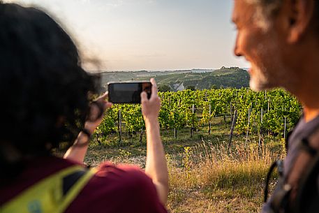 Trekking in the vineyards in Langhe Monferrato Roero