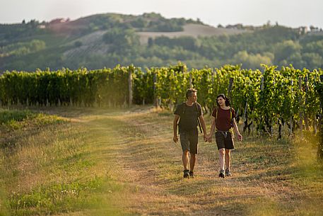 Trekking in the vineyards in Langhe Monferrato Roero