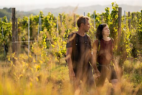 Trekking in the vineyards in Langhe Monferrato Roero