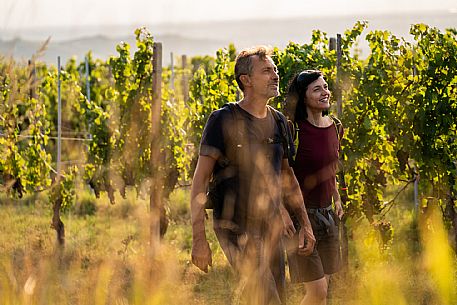 Trekking in the vineyards in Langhe Monferrato Roero