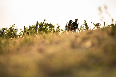 Trekking in the vineyards in Langhe Monferrato Roero