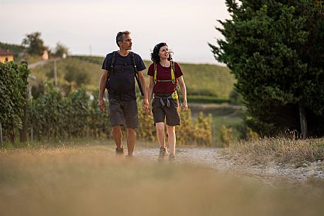 Trekking in the vineyards in Langhe Monferrato Roero