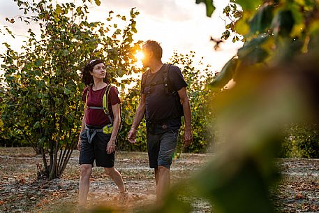 Trekking in the vineyards in Langhe Monferrato Roero