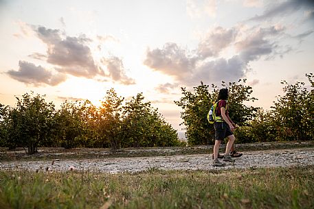 Trekking in Langhe Monferrato Roero