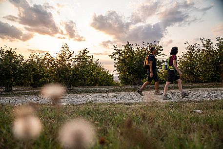 Trekking in Langhe Monferrato Roero