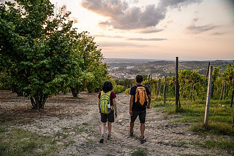 Trekking in the vineyards in Langhe Monferrato Roero