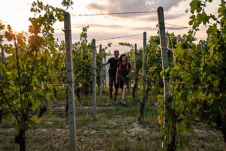 Trekking in the vineyards in Langhe Monferrato Roero