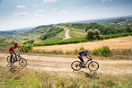 mountain bike tour in Langhe and Monferrato