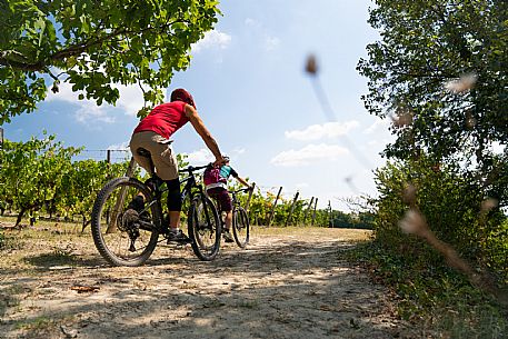 mountain bike tour in Langhe and Monferrato