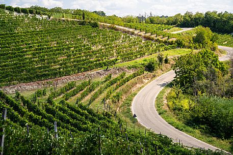 mountain bike tour in Langhe and Monferrato